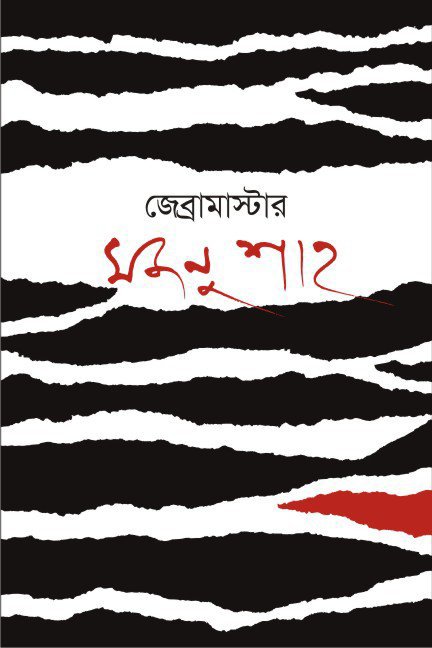 জেব্রামাস্টার : হিমায়িত সঙ্গীতের আর্কিটেকচার / মৃদুল মাহবুব
